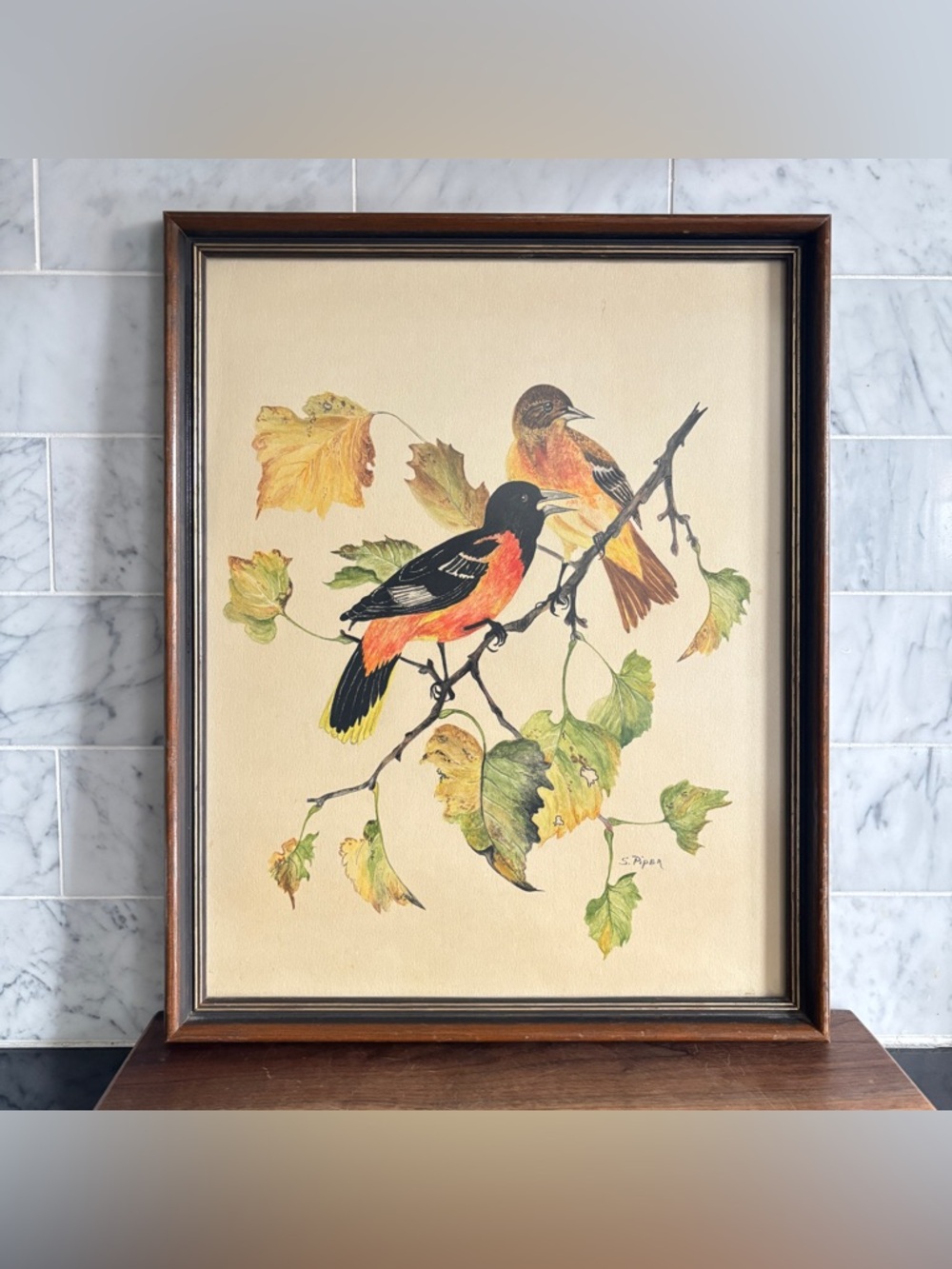Vintage Original Framed and Signed Watercolour Painting of Orioles - S. Piper